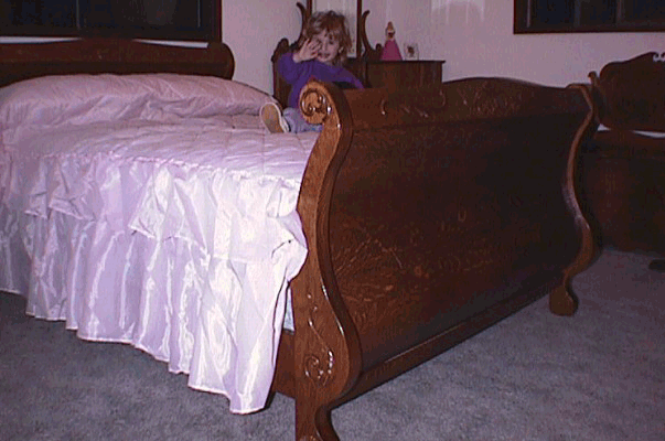 Sleigh Bed Photo 1104