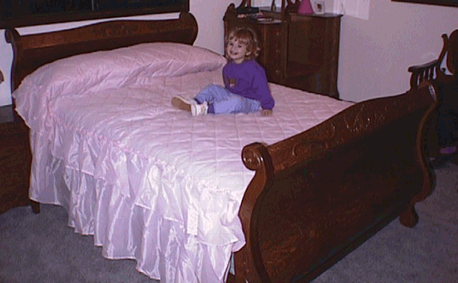 Sleigh Bed Photo 1105